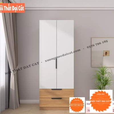 Tủ áo quần gỗ thiết kế 2 cánh T487