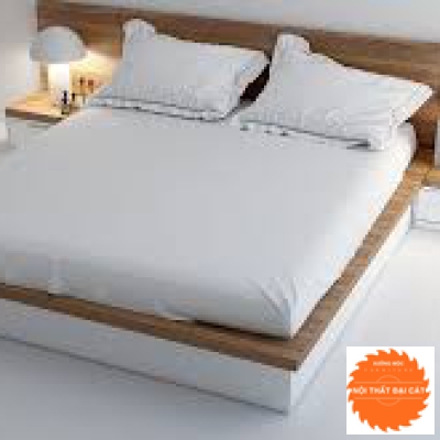 Giường ngủ bệt thiết kế nhỏ gọn G058